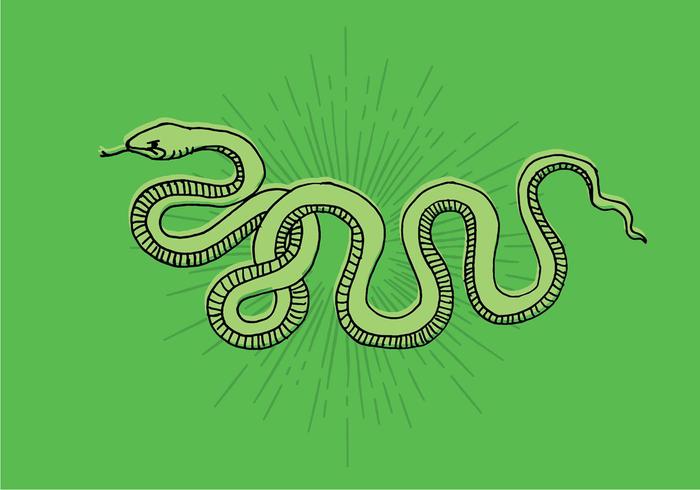 700x490 Snake Line Drawing