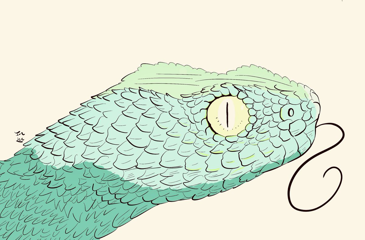 1200x792 Ian Lee On Twitter Httpst.colwx3r4t9t1 Snake Prints,etc