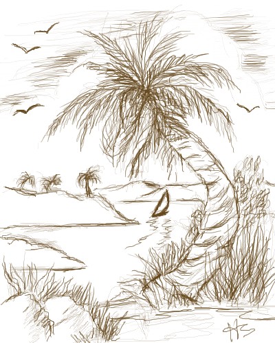 400x500 Drawing A Palm