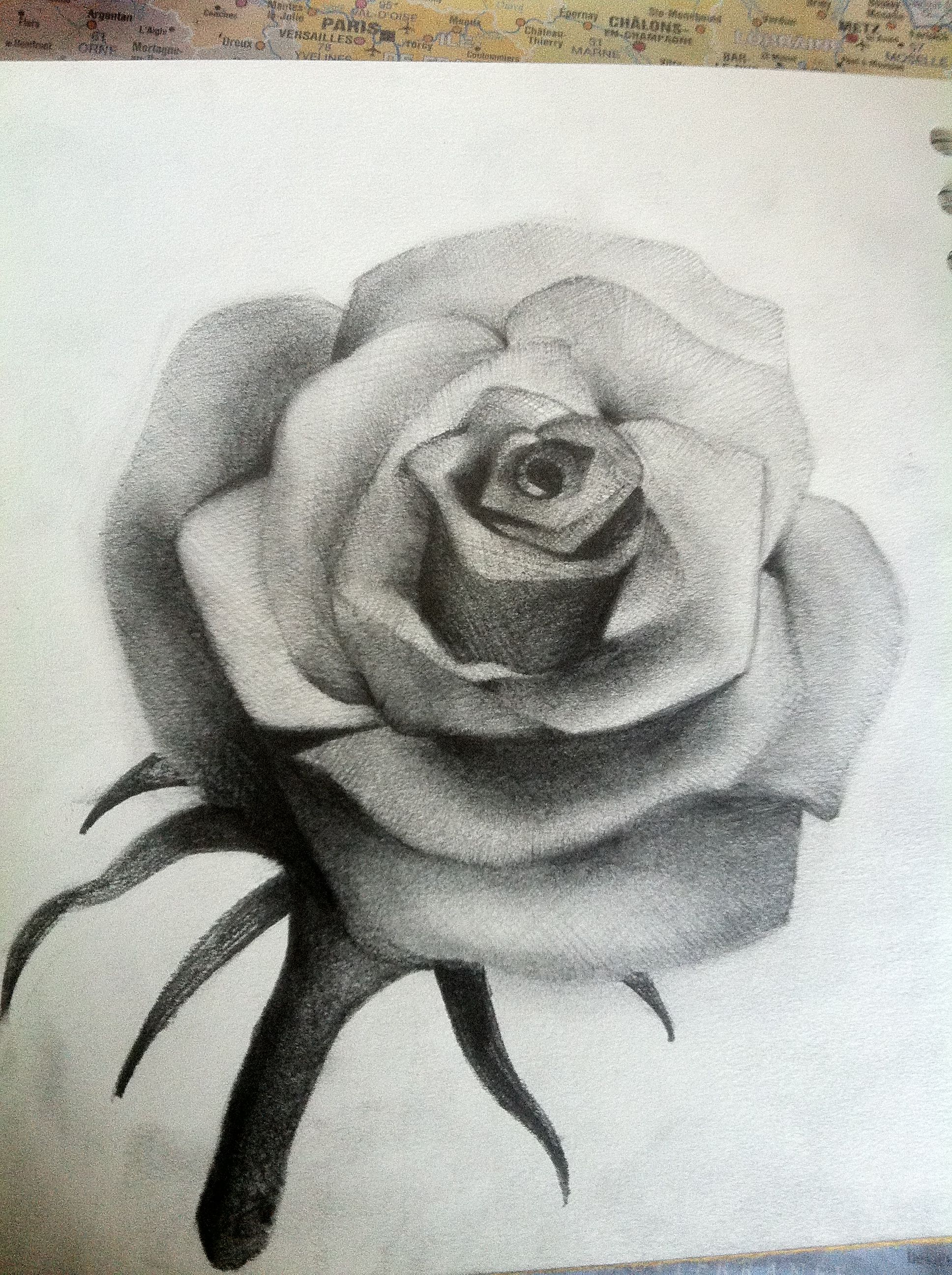 Shaded Rose Drawing at GetDrawings | Free download