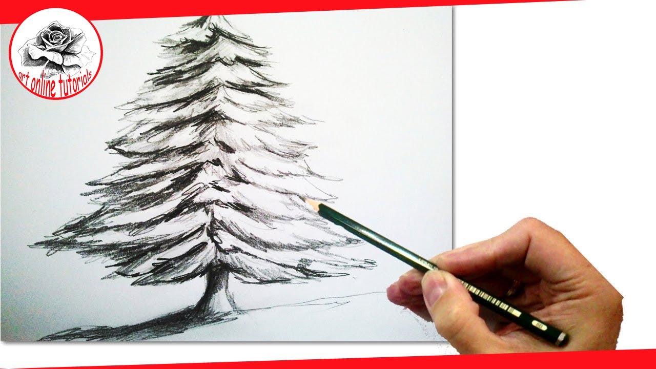 1280x720 How To Draw A Realistic Christmas Tree With Pencil