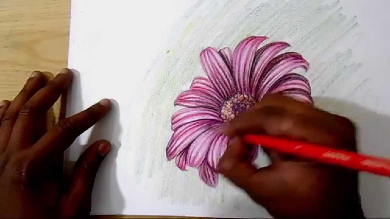 1280x720 How To Draw And Shade Dahlia Flower Realistic