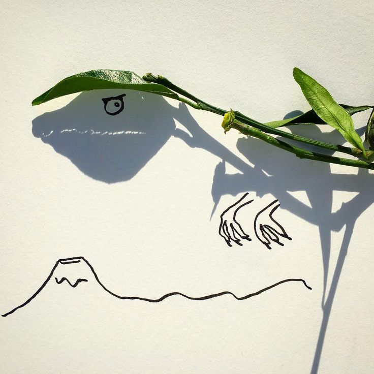 736x736 25 Best Vincent Bal Images On Doodles, Shadow Art