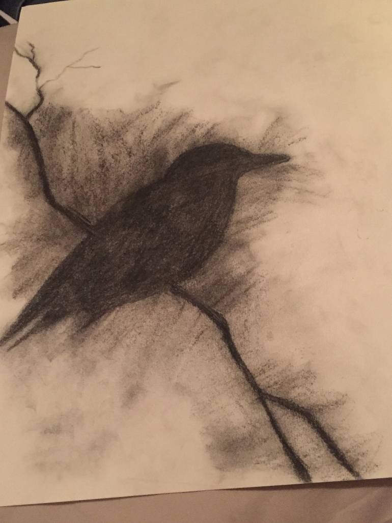 770x1027 Saatchi Art Black Bird In The Shadows Drawing By Gyna Aviles