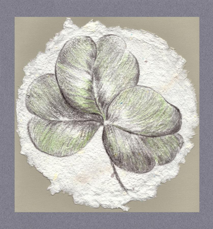 837x900 Shamrock On Handmade Paper Drawing By Mm Anderson