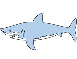 250x192 Cartoon Shark Step By Step Drawing Lesson