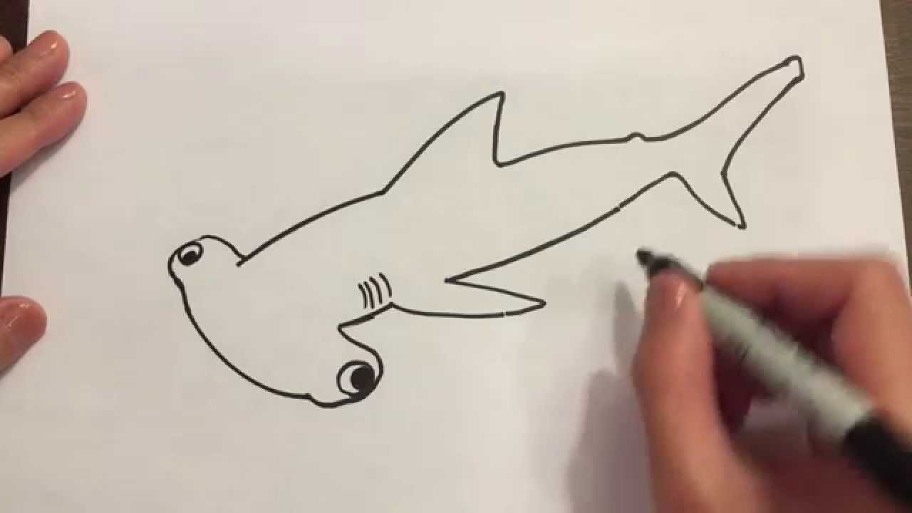 1280x720 Draw A Hammerhead Shark
