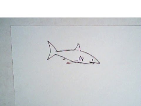 480x360 How To Draw A Shark (Simple, Easy Drawing)