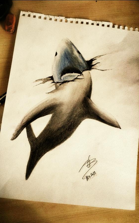 561x900 Realistic 3d Shark Drawing
