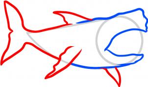 302x177 How To Draw How To Draw Megalodon, Megalodon Shark
