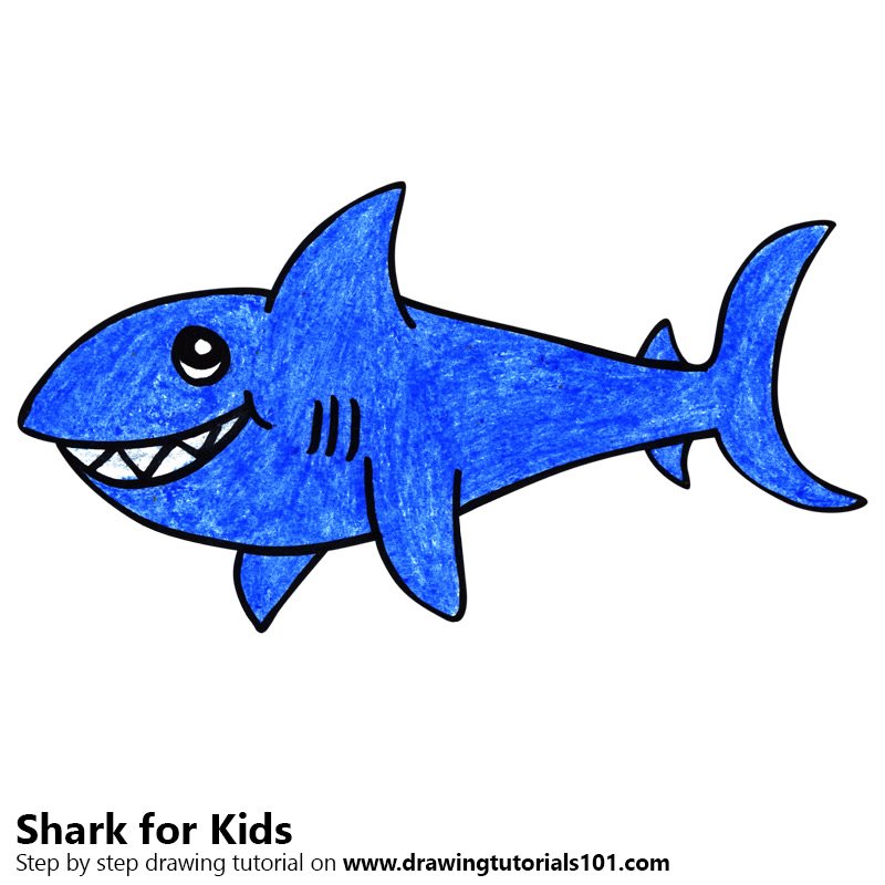 800x800 Learn How To Draw A Shark For Kids (Animals For Kids) Step By Step