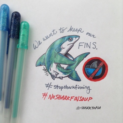 500x500 Ban Shark Fin Soup Tumblr