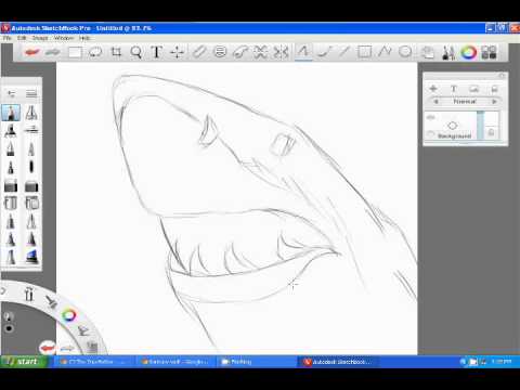 480x360 How To Draw A Quick Sketch Of A Shark Head