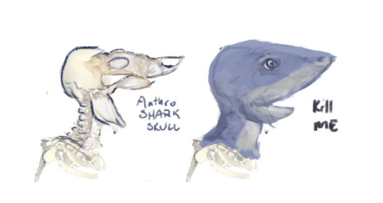 758x401 I Combined A Human And Shark Skull To Try And Get An Idea Of What