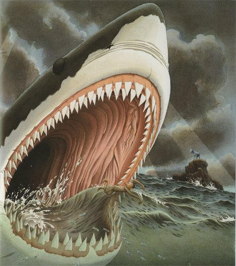 480x542 Innocenti's Shark