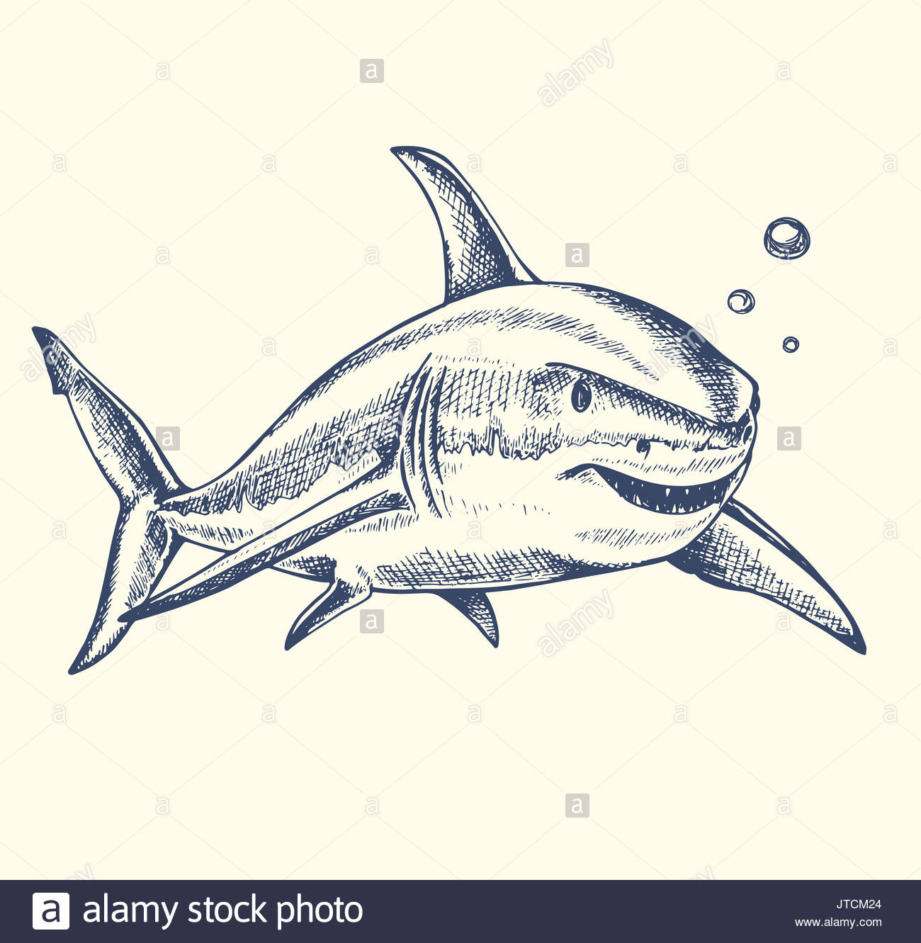 1300x1331 Shark Teeth Drawing Stock Photos Amp Shark Teeth Drawing Stock
