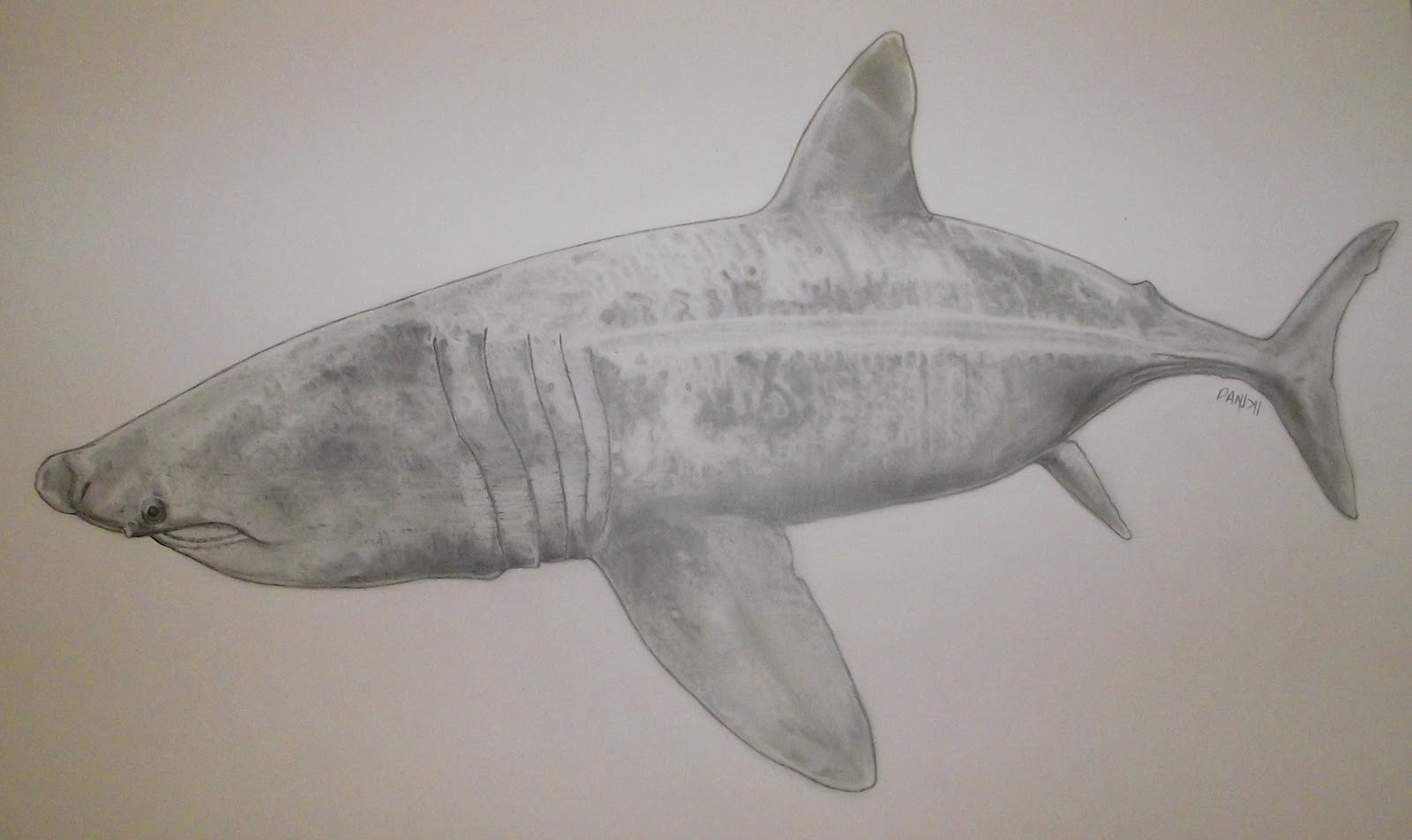 1600x952 Pencil Studies