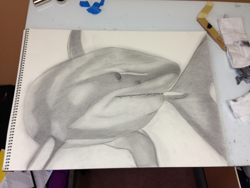 1024x768 Shark Pencil Drawing