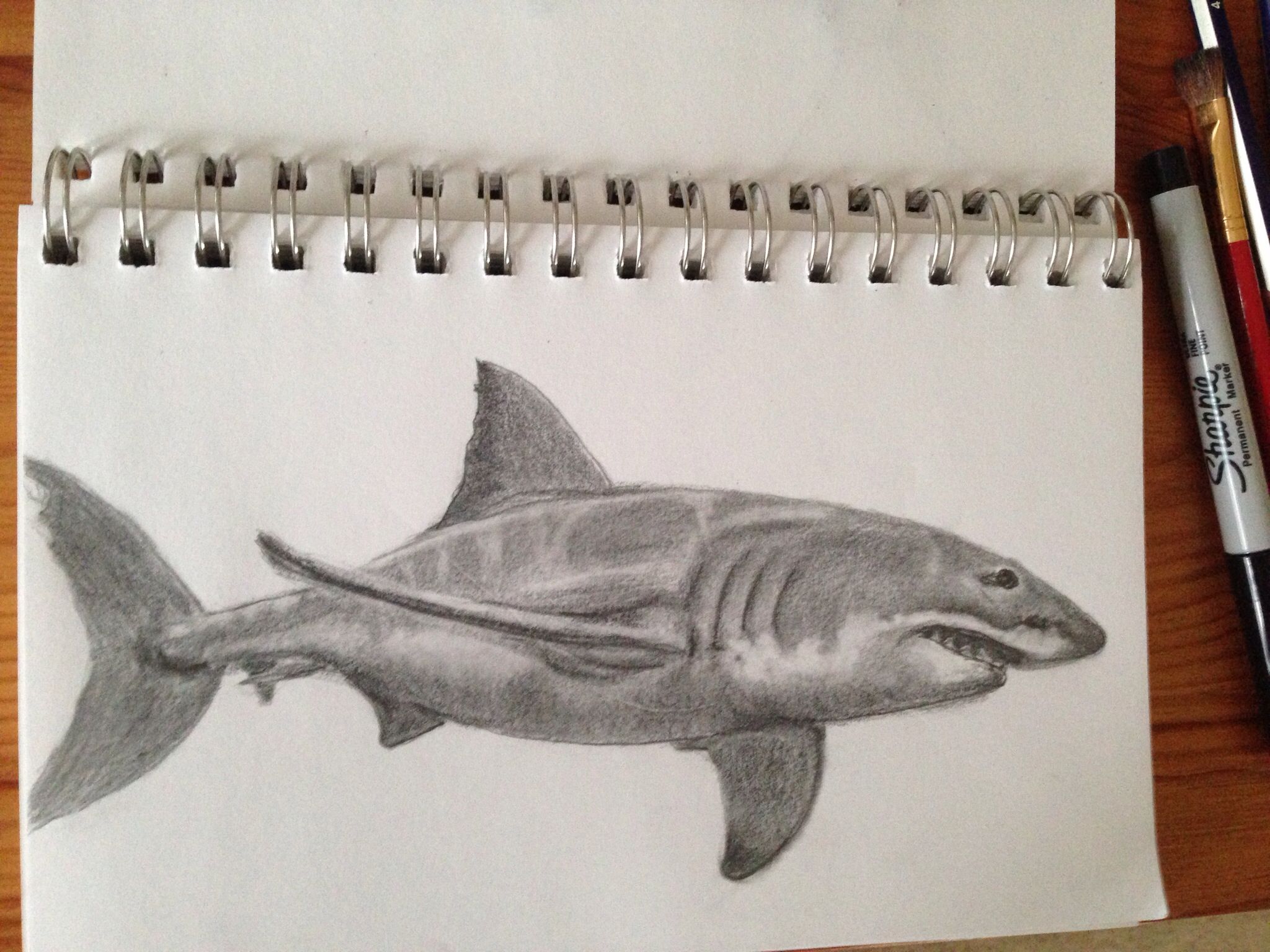 2048x1536 Shark Pencil Drawing Artwork Artwork