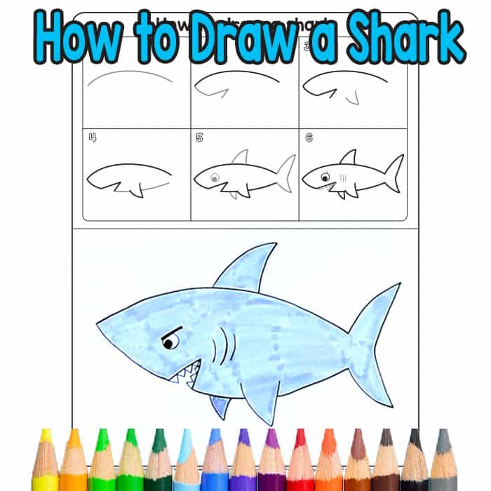 700x700 How To Draw A Shark