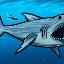 220x220 How To Draw How To Draw Megalodon, Megalodon Shark