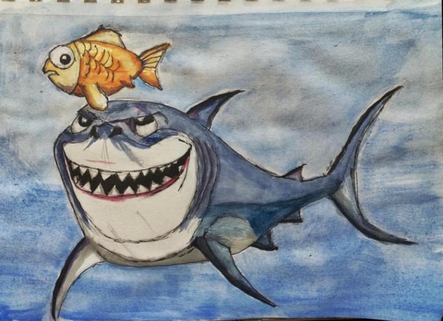 900x653 Shark Nature. Drawings. Pictures. Drawings Ideas For Kids. Easy