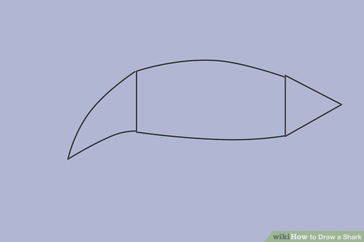 728x485 4 Ways To Draw A Shark