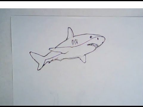 480x360 How To Draw A Great White Shark (Simple Drawing)