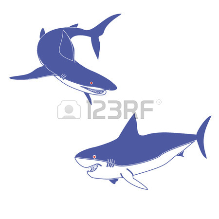 450x450 Vector Illustration Of Two Blue Sharks.insulated Drawing, Consists