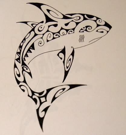 417x445 Tribal Shark Tattoo Sketch