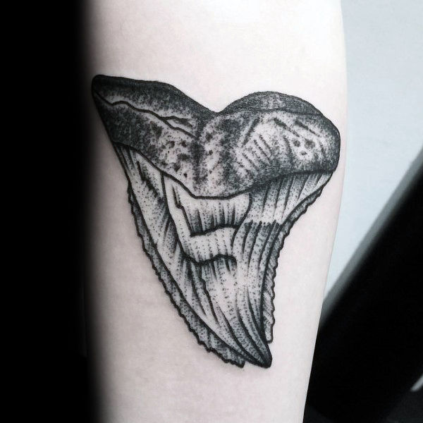 600x600 40 Shark Tooth Tattoo Designs For Men