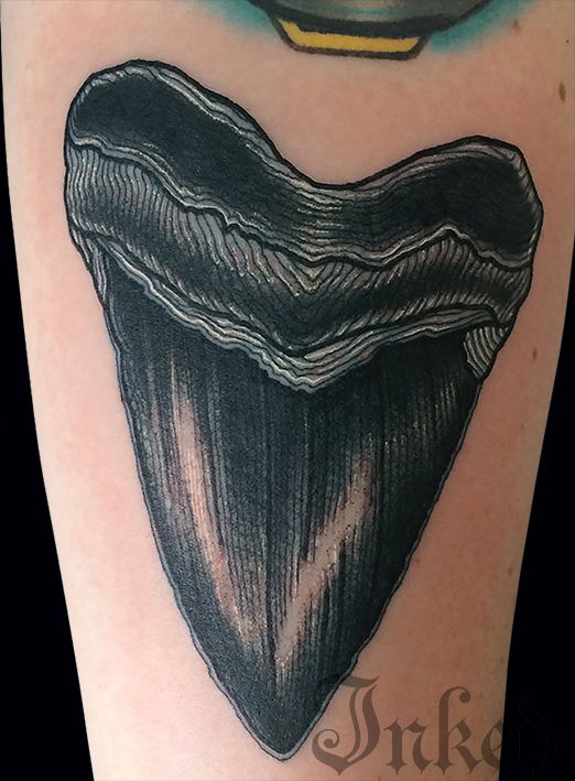 522x709 Shark Tooth Bampw Tattoo Therapy Shark Tooth Tattoo