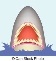 180x195 Big Shark Icons Isolated On White Background Vectors Illustration