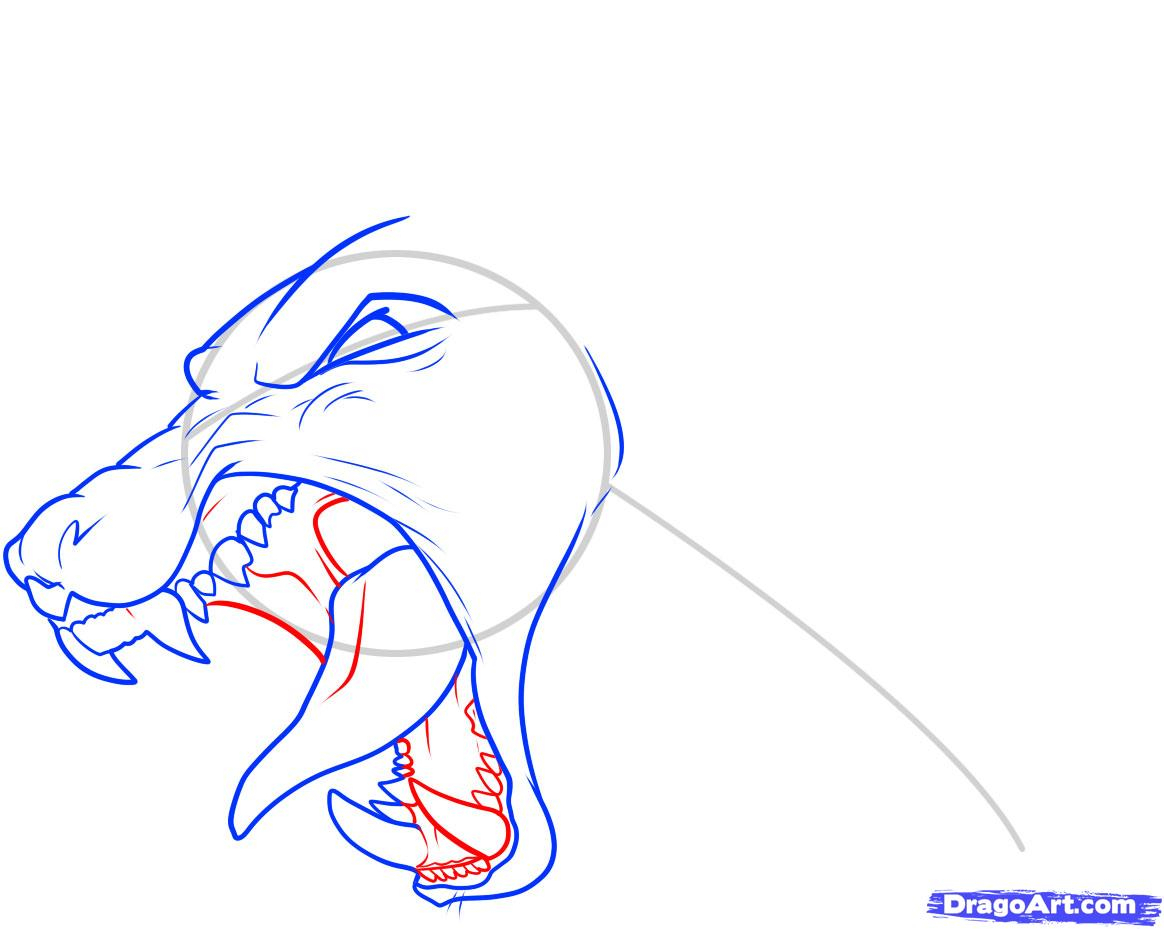 1164x929 Open Mouth Front View Drawing Drawn Lion Mouth Open Drawing