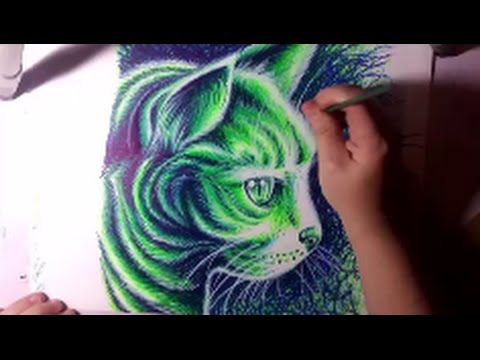 480x360 Drawing A Kitty Cat With Neon Sharpie Markers