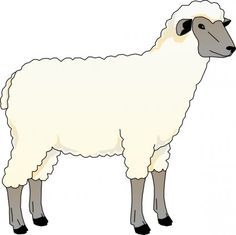 236x235 Sheep Outline Drawing Coloring Page