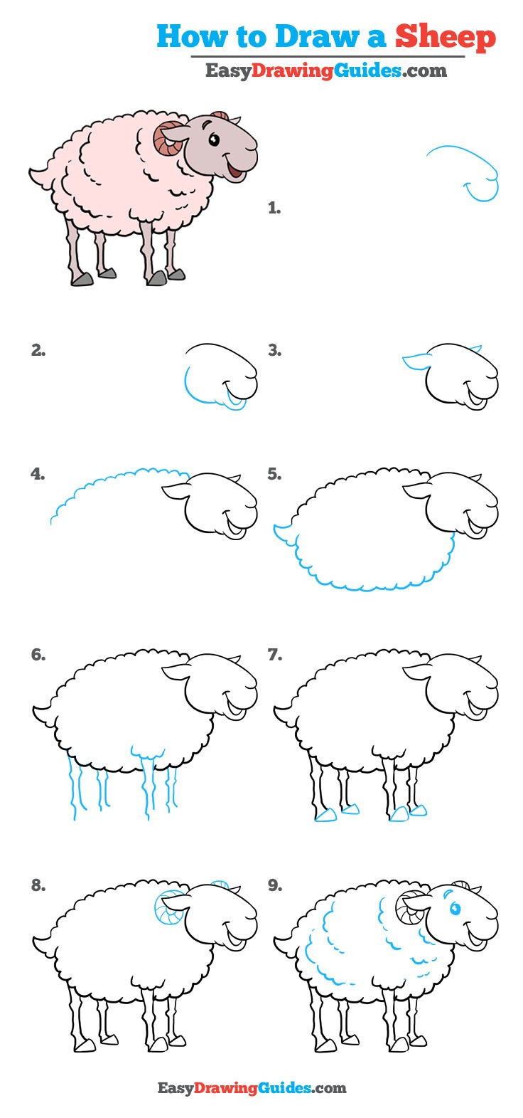 736x1571 How To Draw A Sheep Really Easy Drawing Tutorial Easy Drawing