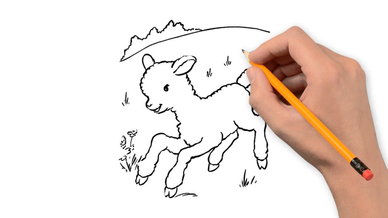 1280x720 Sheep Animals Pencil To Draw Step By Step