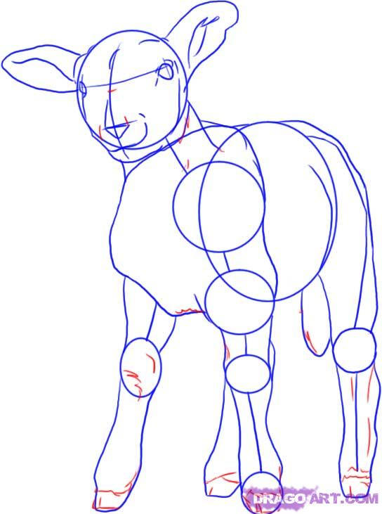 544x731 How To Draw A Lamb, Step By Step, Farm Animals, Animals, Free