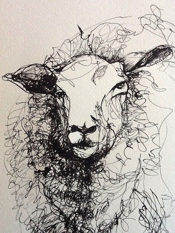 576x768 Rachel Collier Wilson Art Pen And Ink Drawing Of A Sheep