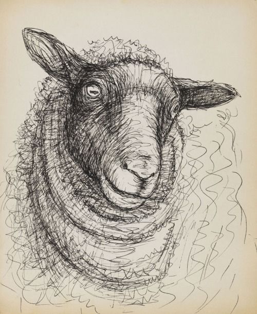 500x611 Design Is Fine Henry Moore, Untitled, Head Of A Sheep, 1972. Pen