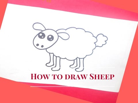 480x360 How Draw Sheep Step By Step Sheep Drawing Tutorial How