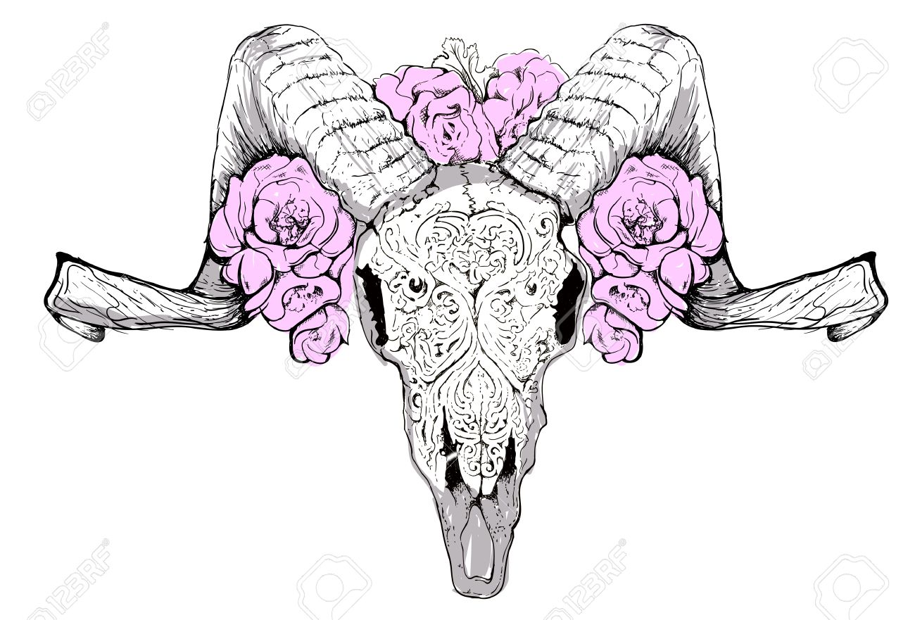 1300x881 Vector Skull Sheep Lamb Horns Roses Bone Royalty Free Cliparts