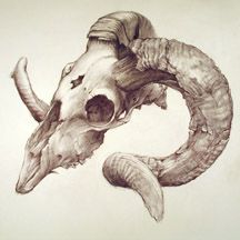 216x216 Moose Skull Drawing Ram Skull Design Ideas Skull