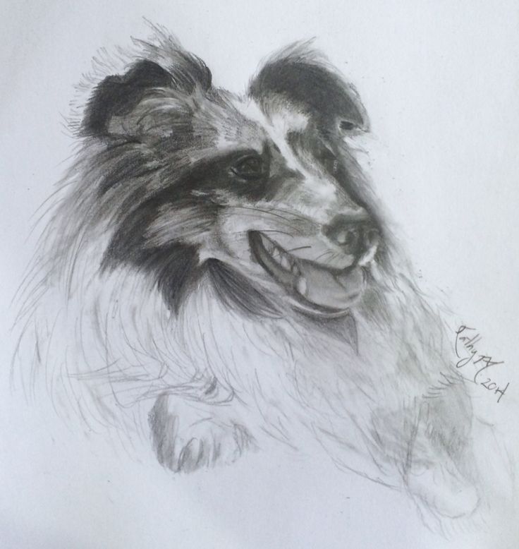 736x778 33 Best Pintura Y Dibujo Images On Painting Amp Drawing