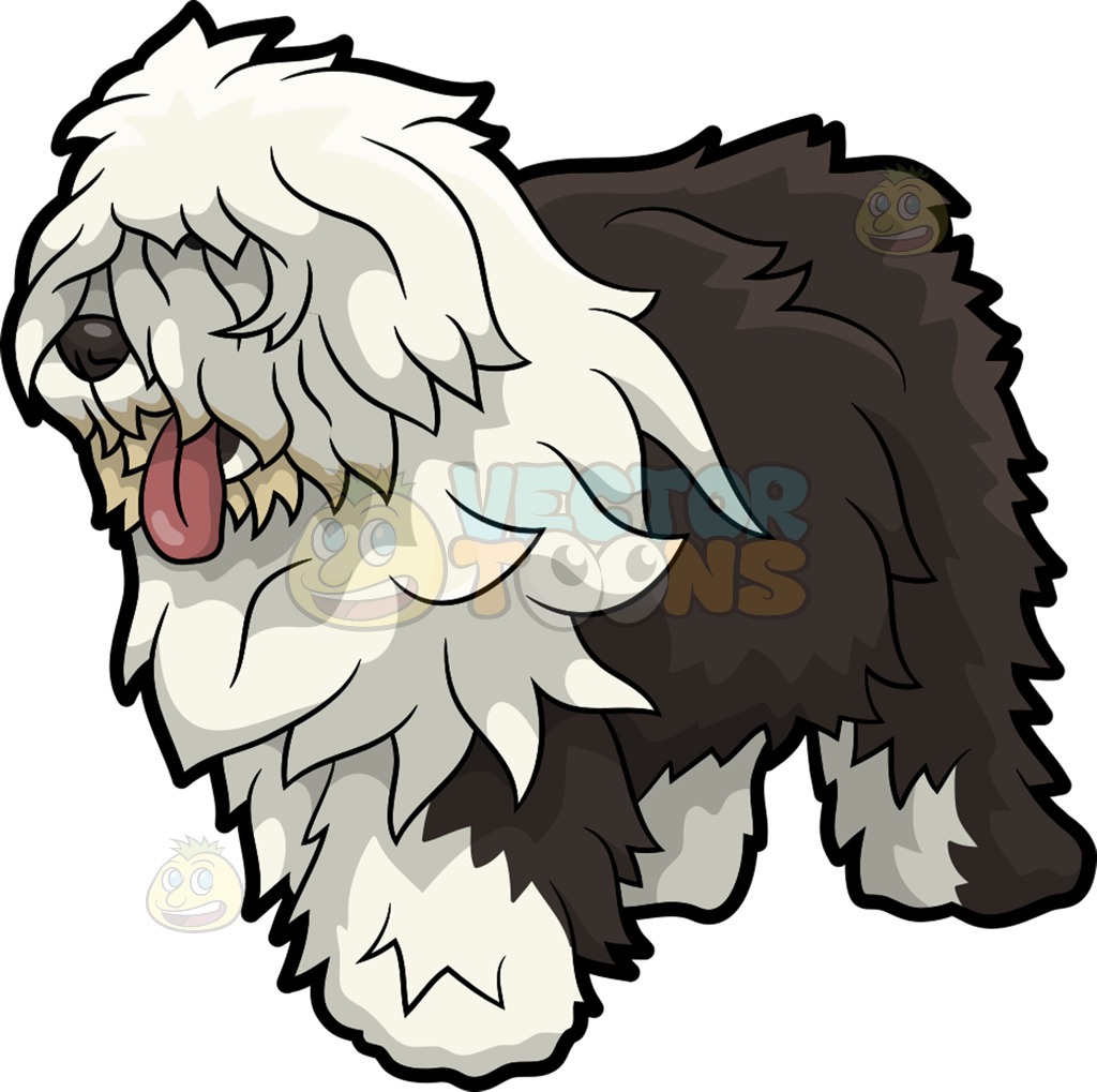 1024x1019 An Old English Sheepdog Dog Cartoon Clipart