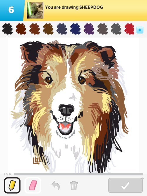 500x667 Sheepdog Drawings