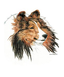 248x300 Shetland Sheepdog Drawings Fine Art America