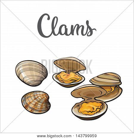 450x470 Clams, Mussels, Seafood, Sketch Vector Amp Photo Bigstock