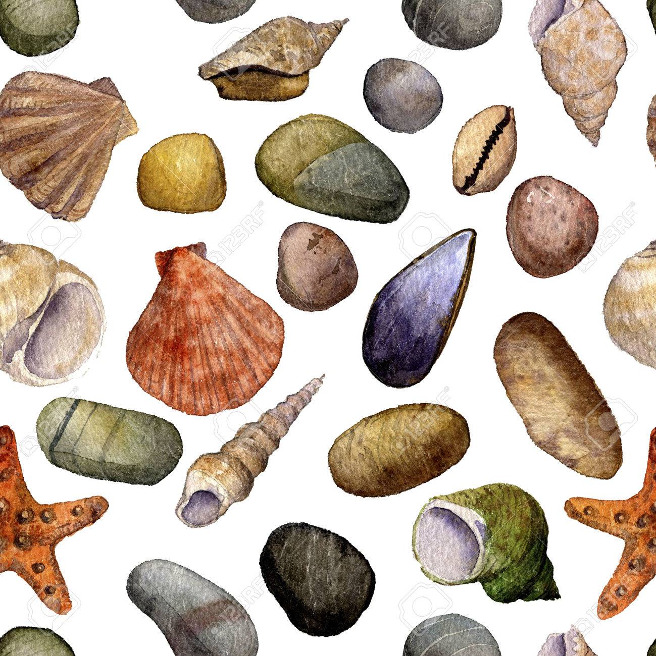 1299x1300 Seamless Pattern With Watercolor Drawing Shells And Sea Stones